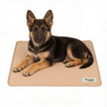 Waggly Puppy Pads